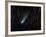 Comet 73P, Schwassmann-Wachmann-Stocktrek Images-Framed Photographic Print