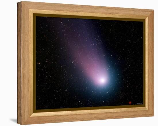 Comet C/2001 Q4 (NEAT)-Stocktrek Images-Framed Premier Image Canvas