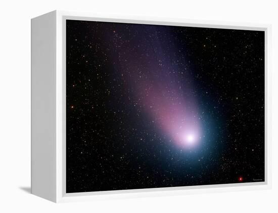 Comet C/2001 Q4 (NEAT)-Stocktrek Images-Framed Premier Image Canvas