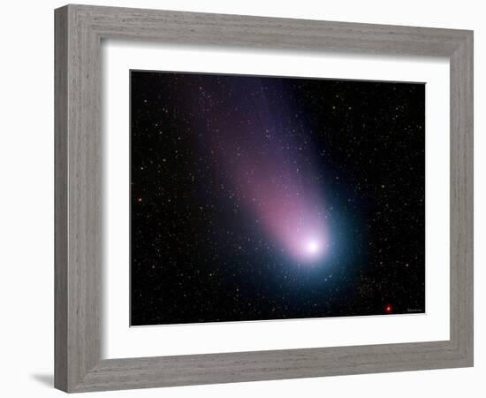 Comet C/2001 Q4 (NEAT)-Stocktrek Images-Framed Photographic Print