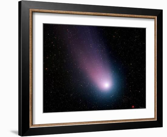 Comet C/2001 Q4 (NEAT)-Stocktrek Images-Framed Photographic Print