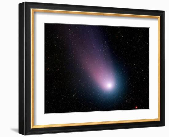 Comet C/2001 Q4 (NEAT)-Stocktrek Images-Framed Photographic Print