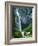 Comet Falls, Mt Rainier National Park, Washington, USA-Charles Gurche-Framed Photographic Print