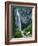 Comet Falls, Mt Rainier National Park, Washington, USA-Charles Gurche-Framed Photographic Print