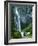 Comet Falls, Mt Rainier National Park, Washington, USA-Charles Gurche-Framed Photographic Print