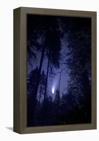 Comet Hale-Bopp-Detlev Van Ravenswaay-Framed Premier Image Canvas