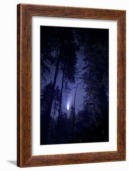 Comet Hale-Bopp-Detlev Van Ravenswaay-Framed Photographic Print