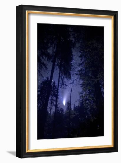 Comet Hale-Bopp-Detlev Van Ravenswaay-Framed Photographic Print