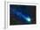 Comet Lovejoy (C-2014 Q2)-Stocktrek Images-Framed Photographic Print