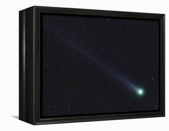 Comet Lovejoy-Stocktrek Images-Framed Premier Image Canvas