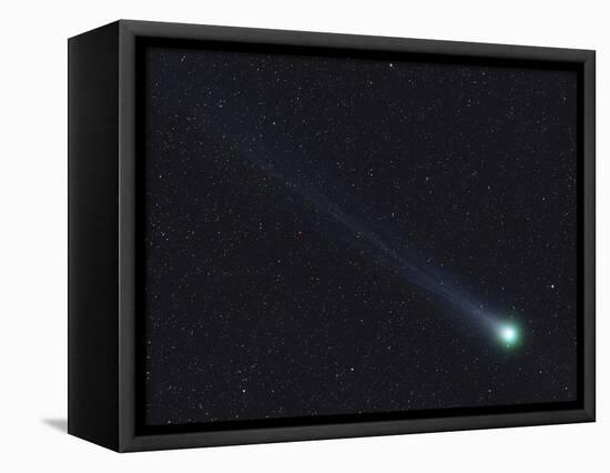 Comet Lovejoy-Stocktrek Images-Framed Premier Image Canvas