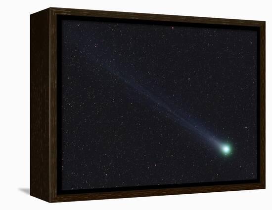 Comet Lovejoy-Stocktrek Images-Framed Premier Image Canvas