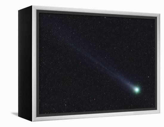 Comet Lovejoy-Stocktrek Images-Framed Premier Image Canvas