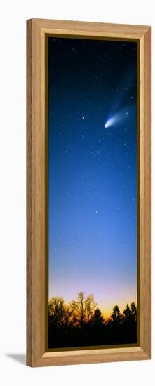 Comet (Photo Illustration)-null-Framed Stretched Canvas