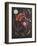 Cometes-Wassily Kandinsky-Framed Premium Edition