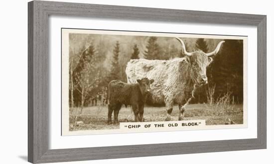 Comic Animals, Chip Of The Old Block (b/w photo)-English Photographer-Framed Photographic Print