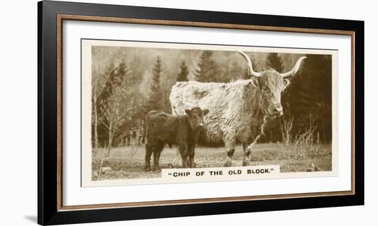 Comic Animals, Chip Of The Old Block (b/w photo)-English Photographer-Framed Photographic Print