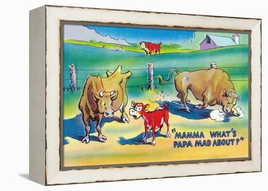 Comic Cartoon - Red Calf Asking Mamma Cow Why Papa Bull is Mad-Lantern Press-Framed Stretched Canvas