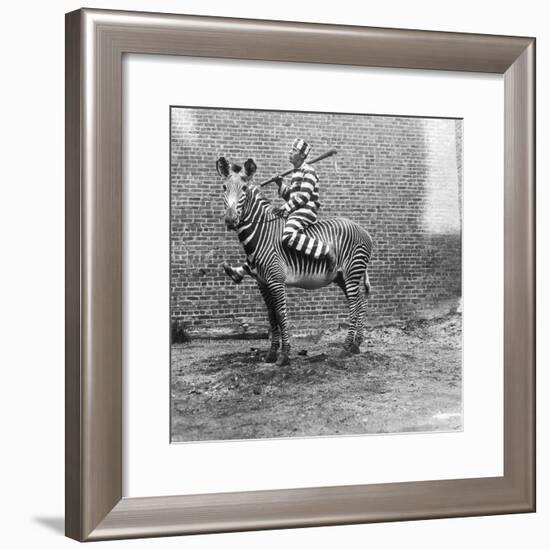 Comic Criminal Riding a Zebra-null-Framed Photographic Print