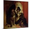 Comical Dogs, 1836-Edwin Henry Landseer-Mounted Giclee Print