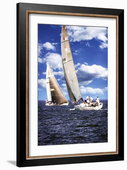 Comin and Going-Alan Hausenflock-Framed Photographic Print