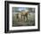 Comin' In-Jack Sorenson-Framed Art Print