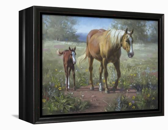 Comin' In-Jack Sorenson-Framed Stretched Canvas