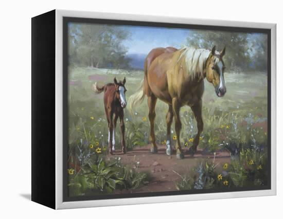 Comin' In-Jack Sorenson-Framed Stretched Canvas