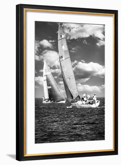 Coming and Going BW-Alan Hausenflock-Framed Photographic Print