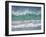 Coming ashore on Saunders Island. Rockhopper Penguin. Falkland Islands in January.-Martin Zwick-Framed Photographic Print