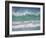 Coming ashore on Saunders Island. Rockhopper Penguin. Falkland Islands in January.-Martin Zwick-Framed Photographic Print