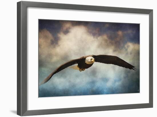 Coming Home Bald Eagle-Jai Johnson-Framed Giclee Print