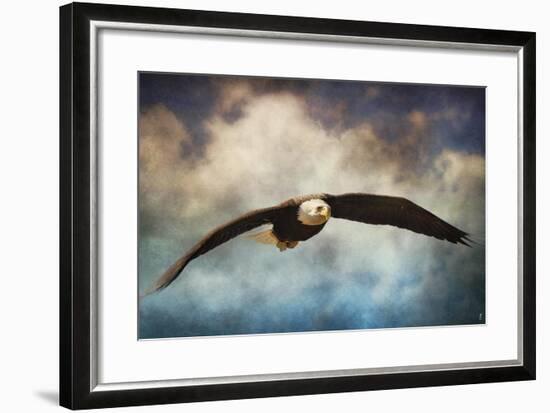 Coming Home Bald Eagle-Jai Johnson-Framed Giclee Print