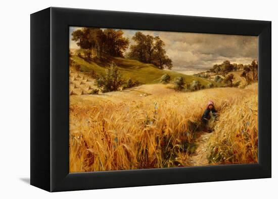 Coming Thro The Rye-Charles James Lewis-Framed Premier Image Canvas