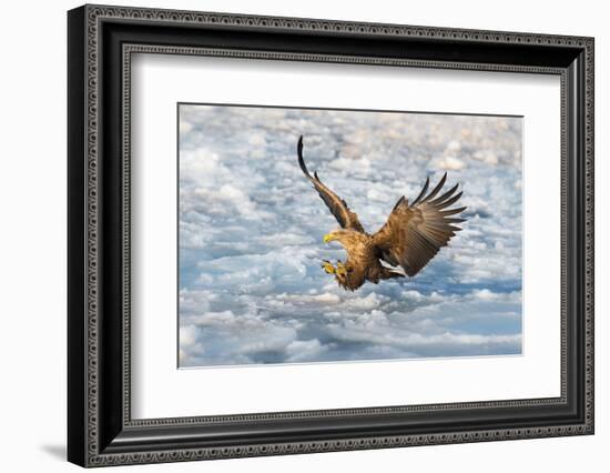 Coming-C. Mei-Framed Photographic Print