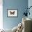 Comma Butterfly (Polygonia C-Album), Nymphalidae, Artwork by Rebecca Hardy-null-Framed Giclee Print displayed on a wall