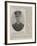 Commander B G Godfrey-Faussett, Rn, of the Suite of the Duke of Cornwall and York-null-Framed Giclee Print