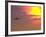 Commercial Airplane at Sunset-Mitch Diamond-Framed Photographic Print