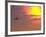 Commercial Airplane at Sunset-Mitch Diamond-Framed Photographic Print