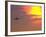 Commercial Airplane at Sunset-Mitch Diamond-Framed Photographic Print