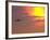Commercial Airplane at Sunset-Mitch Diamond-Framed Photographic Print