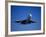 Commercial Airplane in Flight-Mitch Diamond-Framed Photographic Print