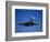 Commercial Airplane in Flight-Mitch Diamond-Framed Photographic Print