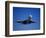 Commercial Airplane in Flight-Mitch Diamond-Framed Photographic Print