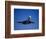 Commercial Airplane in Flight-Mitch Diamond-Framed Photographic Print