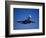 Commercial Airplane in Flight-Mitch Diamond-Framed Photographic Print