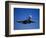 Commercial Airplane in Flight-Mitch Diamond-Framed Photographic Print