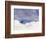 Commercial Airplane Soaring Above the Clouds-Mitch Diamond-Framed Photographic Print