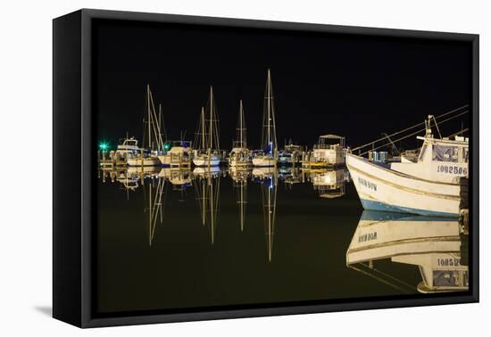 Commercial and Recreational Boats in Fulton Harbor-Larry Ditto-Framed Premier Image Canvas