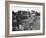 Commercial Development on Campo Lane, Sheffield, South Yorkshire, 1967-Michael Walters-Framed Photographic Print